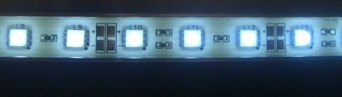 CRI 80 원격 제어 세륨 증명서를 가진 30의 LEDs/M 다 색깔 LED 지구