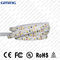 옥외 방수 다채로운 SMD LED 가동 가능한 12V/24V RGBW/RGB 리본