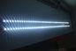 최고 광도 백색 SMD 3528 LED 지구 빛 DC12V/24V 5 미터 목록 60 LEDs/M